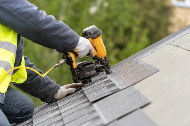 Best Roof Moss and Algae Removal  in Mariemont, OH
